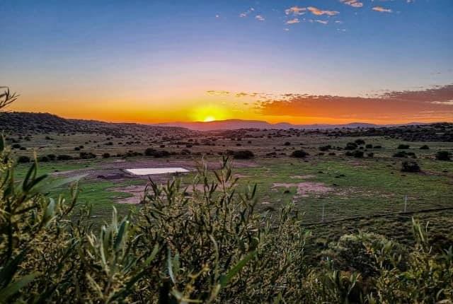 /uploads/africa-listings/gallery/thumbs/AkabekoLuxuryCountryHotel-aka12-jpg-Gallery-2024-03-01.jpg
