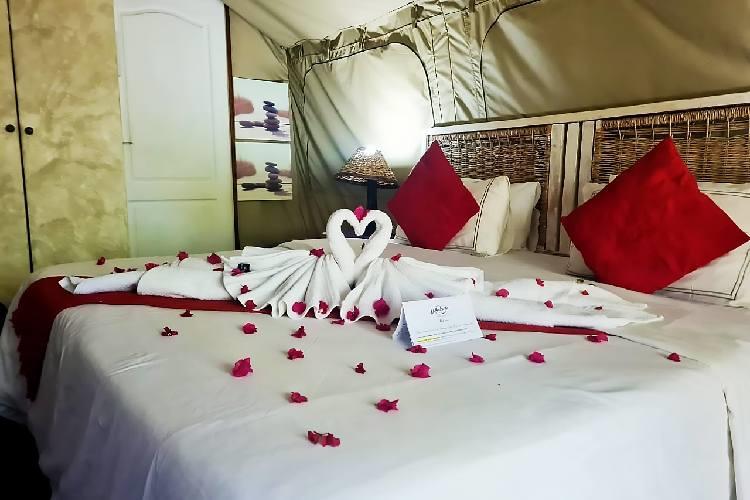 /uploads/africa-listings/gallery/thumbs/LaMontagneGuestLodge-lamonnew8-jpg-Gallery-2025-01-25.jpg
